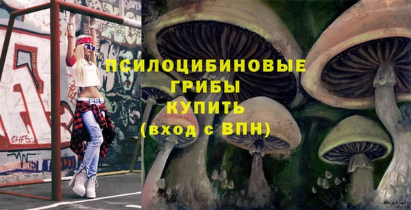ECSTASY Киреевск