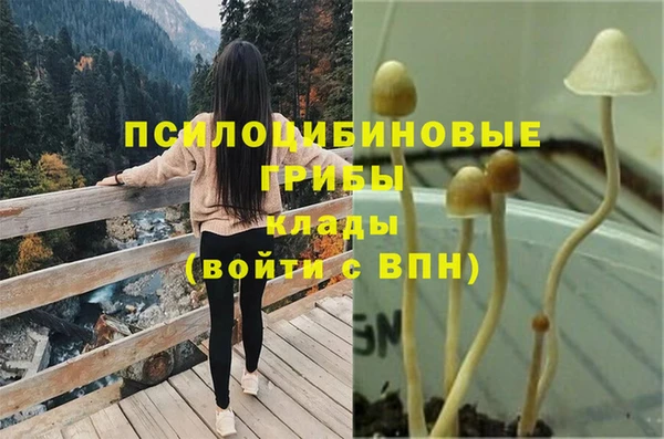 скорость mdpv Кинешма